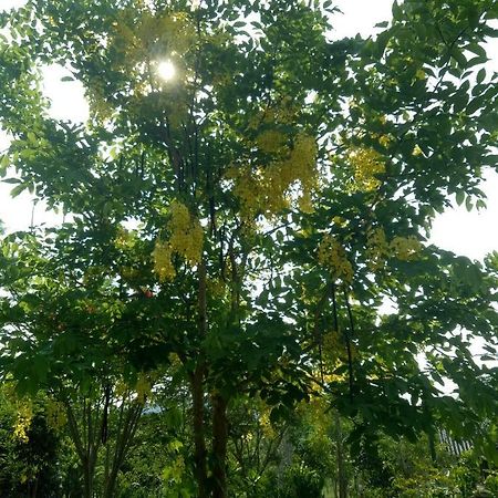 Hotel Kum Nangpaya Kaeng Kachan Zewnętrze zdjęcie